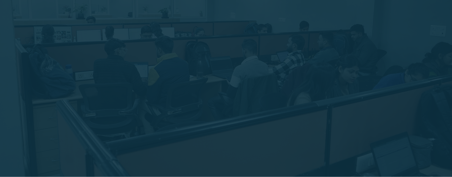 Finance Experts Team